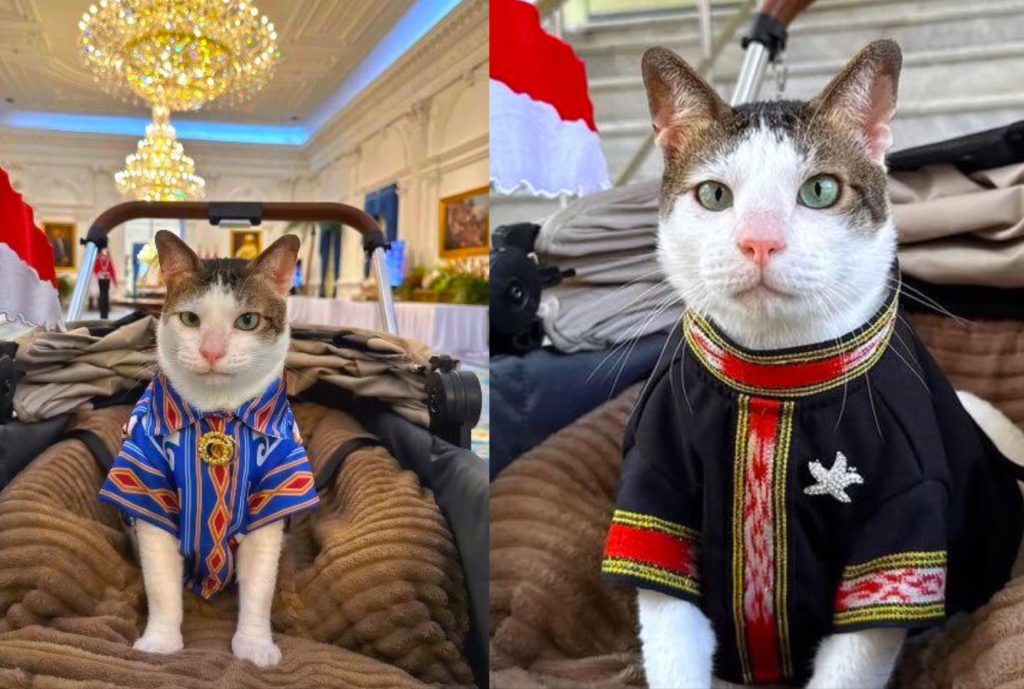 IMG-20250819-WA0008~2