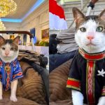 IMG-20250819-WA0008~2