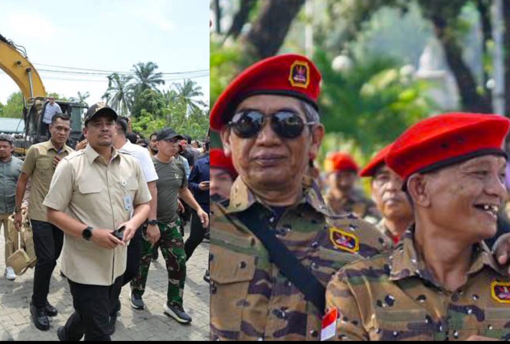 IMG-20250820-WA0009~2