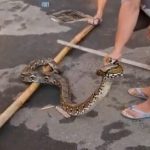 InShot_20250806_213357397