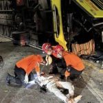 bc83e5d6-3d57-4f58-b1ca-1370fb88a10f